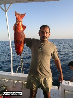 ael_kady
