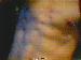 Alex16