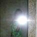 albertini