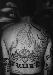 alex_85