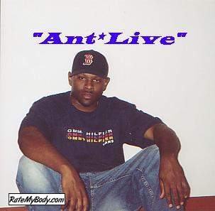 Ant_Live