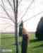 angles_voice from Whitwater