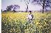 arjunkumar