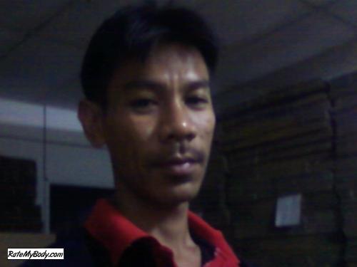 armophis