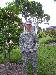 armyprep068