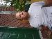 atcee