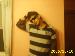 bboymikel5