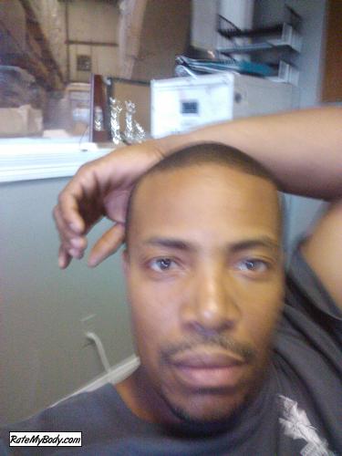 blowflycb