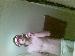 brandontannuh