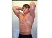 cdnmuscleman