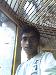 chandrrr