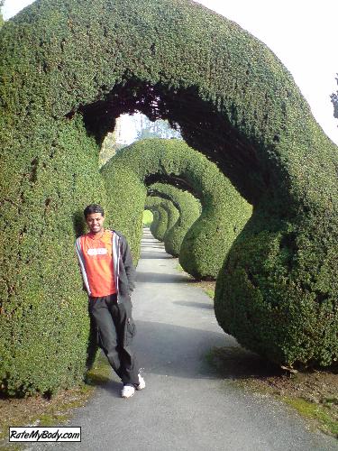 charan_sagar