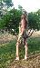 cheeky_babe2 from Orange Country