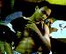 chuckd3isme2