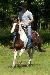 cowboyupq