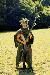 crabgrass