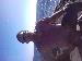 crazyturtle