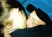 cyber_ty_23