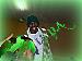 Darrius16