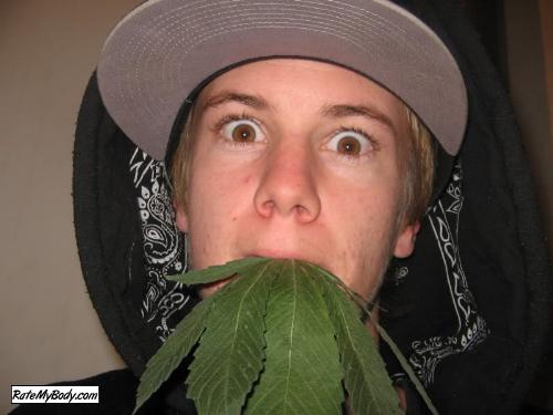 dankmusic4u