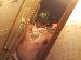 ddubn85