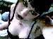 deadsicgirl from Inver Grove Heightz