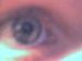 doed