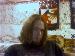 ECW_Slayer