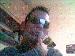 Engineer24