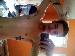 finch42991