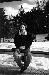 frognose from -