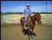 GQcowboy