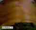 guyinri