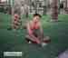 haisam
