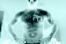 hardbodyte