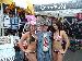 harleyfxsts3