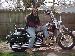 harleyride4u
