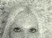 Hermaph