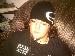 hobeeb666