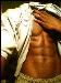 holdme80