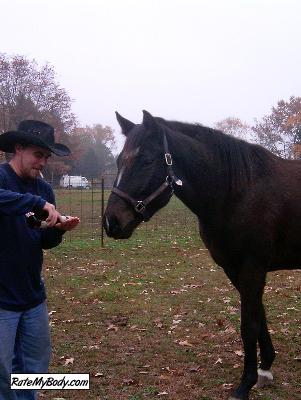 horsefarrier