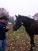 horsefarrier