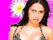hotselena4u from -