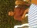 hotsonu