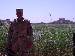 iraqsoldier