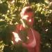 islandhoney32