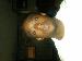 IzDatMookie85