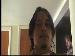 jackdob2000