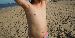 jandb08385