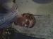 jason09101
